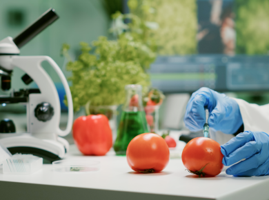 que son los alimentos transgenicos