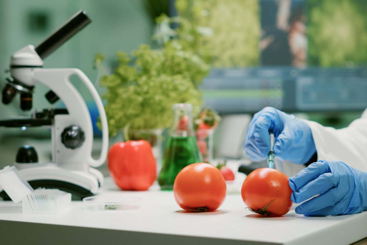 que son los alimentos transgenicos